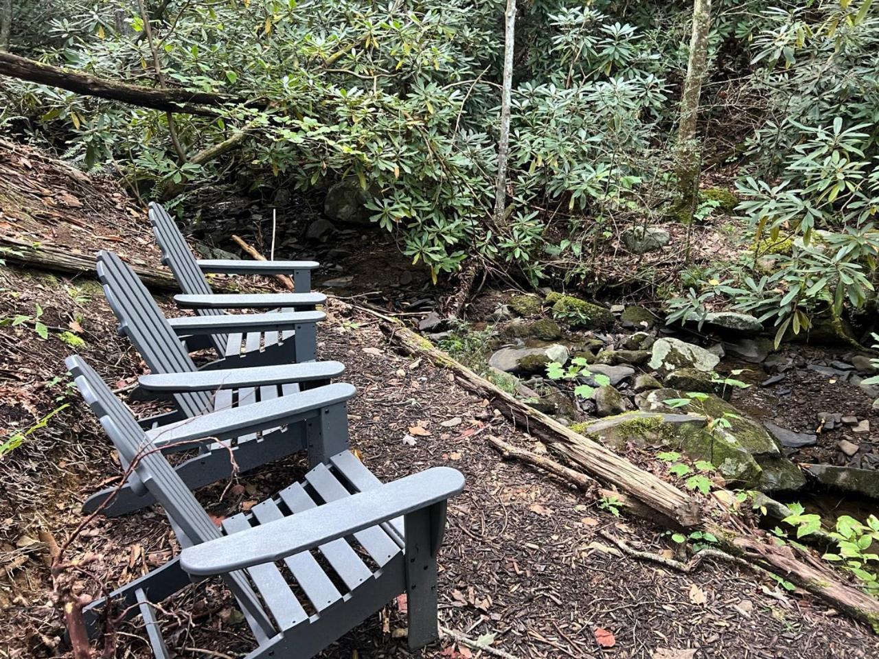 Big Bear Ridge Lodge - Breathtaking Mountain Views And Private Forest Scenes In Amazing Large Log Cabin Gatlinburg Ngoại thất bức ảnh